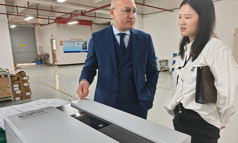 Ess Für den Heimgebrauch Solarenergie Energiespeichersystem mit Batterie Solar Micro Inverter